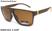 GREY WOLF очки GW5102 C.02P