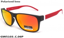 GREY WOLF очки GW5103 C.06P