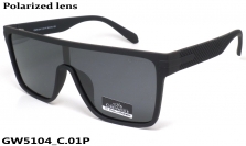 GREY WOLF очки GW5104 C.01P