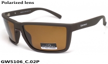 GREY WOLF очки GW5106 C.02P
