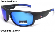 GREY WOLF очки GW5109 C.04P