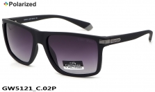 GREY WOLF очки GW5121 C.02P