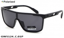GREY WOLF очки GW5124 C.01P