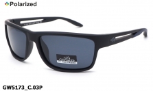 GREY WOLF очки GW5173 C.03P polarized