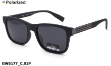 GREY WOLF очки GW5177 C.01P polarized