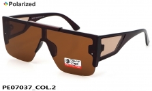 Polar Eagle очки PE07037 COL.2