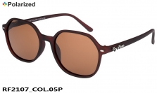 Ray-Flector polarized очки RF2107 COL.05P