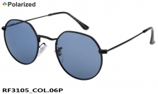 Ray-Flector polarized очки RF3105 COL.06P