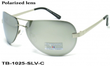 TED BROWNE очки TB-1025 E-SLV-C