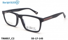 Оправа Thom RICHARD TR6057 C2 Blue Blocker