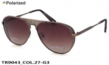 Thom RICHARD очки TR9043 COL.27-G3