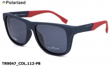Thom RICHARD очки TR9047 COL.112-P8