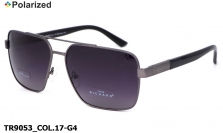 Thom RICHARD очки TR9053 COL.17-G4 polarized