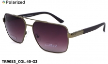 Thom RICHARD очки TR9053 COL.40-G3 polarized