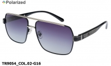 Thom RICHARD очки TR9054 COL.02-G16 polarized