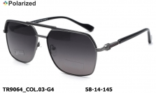 Thom RICHARD очки TR9064 COL.03-G4 polarized