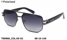 Thom RICHARD очки TR9066 COL.03-G1 polarized