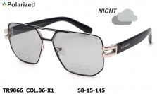 Thom RICHARD очки TR9066 COL.06-X1 polarized