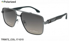 Thom RICHARD очки TR9072 COL.17-G15 polarized