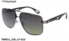 Thom RICHARD очки TR9511 COL.17-G15 polarized