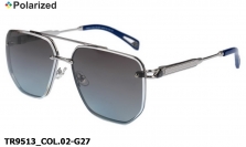 Thom RICHARD очки TR9513 COL.02-G27 polarized