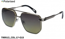 Thom RICHARD очки TR9513 COL.17-G15 polarized