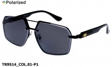 Thom RICHARD очки TR9514 COL.01-P1 polarized