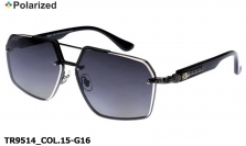 Thom RICHARD очки TR9514 COL.15-G16 polarized