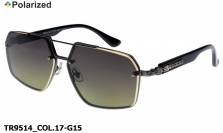 Thom RICHARD очки TR9514 COL.17-G15 polarized