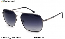 Thom RICHARD очки TR9523 COL.06-G1 polarized