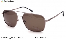 Thom RICHARD очки TR9523 COL.13-P2 polarized