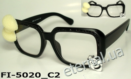 FI-5020_C2