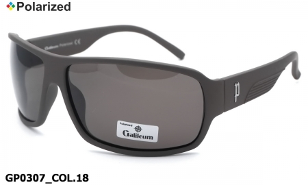 Galileum polarized очки GP0307 COL.18