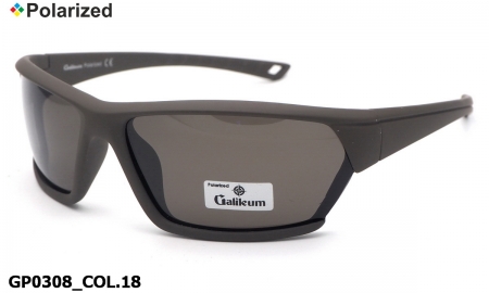 Galileum polarized очки GP0308 COL.18