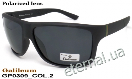 Galileum polarized очки GP0309 COL.2