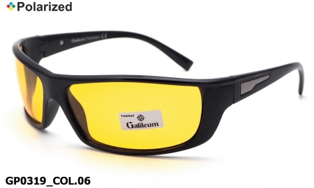 Galileum polarized очки GP0319 COL.06