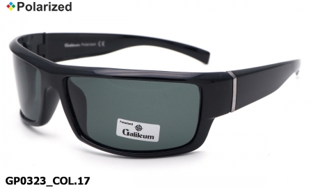 Galileum polarized очки GP0323 COL.17