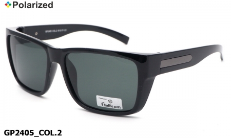 Galileum очки GP2405 COL.2 polarized