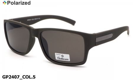 Galileum очки GP2407 COL.5 polarized