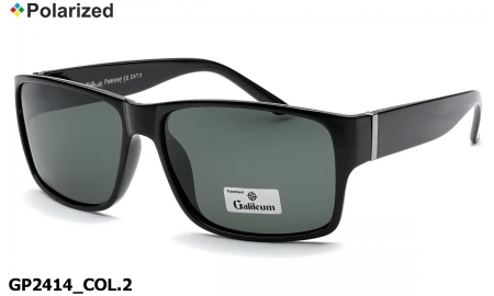 Galileum очки GP2414 COL.2 polarized