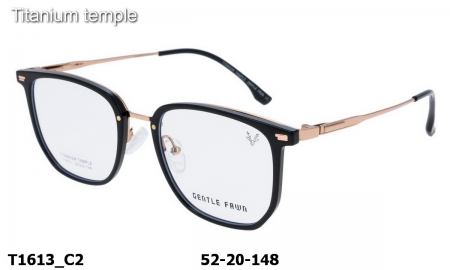 Оправа Gentle Fawn T1613 C2 Titanium temple