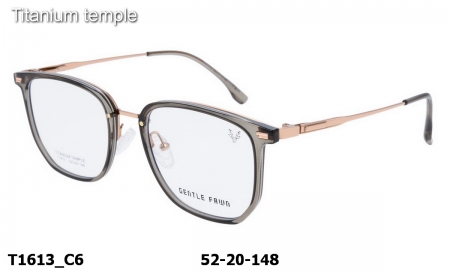 Оправа Gentle Fawn T1613 C6 Titanium temple