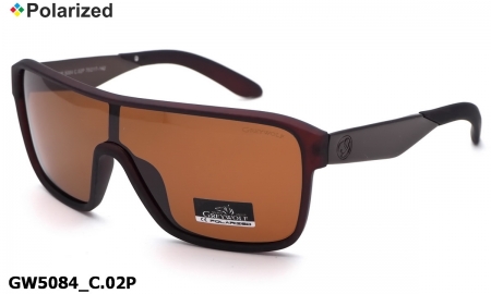 GREY WOLF очки GW5084 C.02P