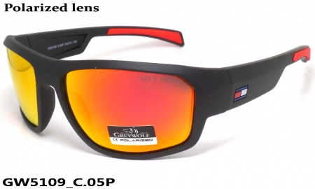 GREY WOLF очки GW5109 C.05P