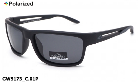 GREY WOLF очки GW5173 C.01P polarized