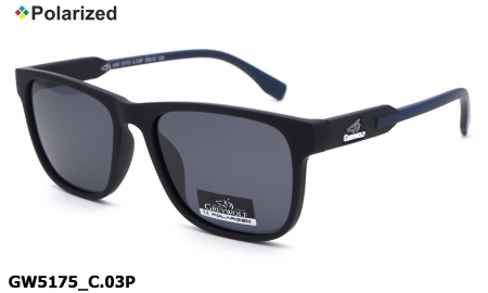 GREY WOLF очки GW5175 C.03P polarized
