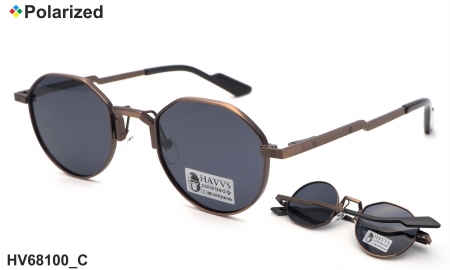HAVVS очки HV68100 C polarized