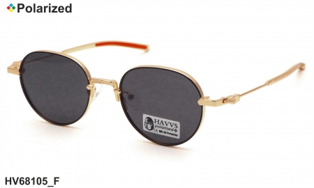 HAVVS очки HV68105 F polarized