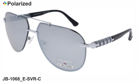 James BROWNE очки JB-1068 E-SVR-C polarized