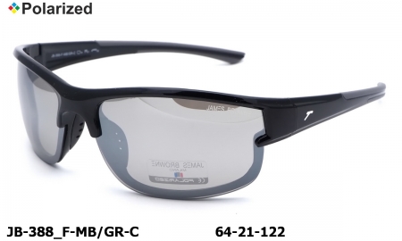 James BROWNE очки JB-388 F-MB/GR-C polarized